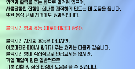 블랙체리